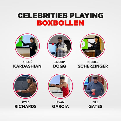 The BoxBall Reflex Ball (New Year Sale!)